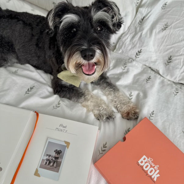 Bark Book - The Memory Album