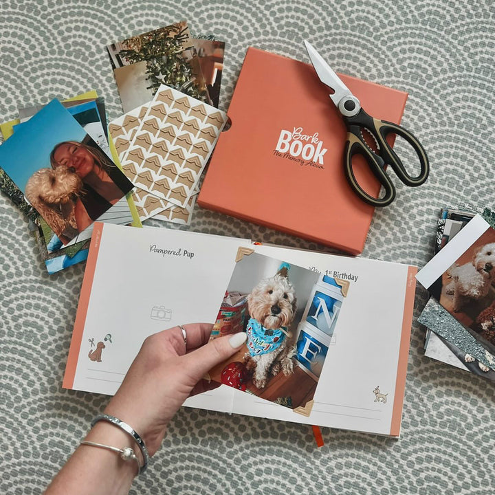 Bark Book - The Memory Album