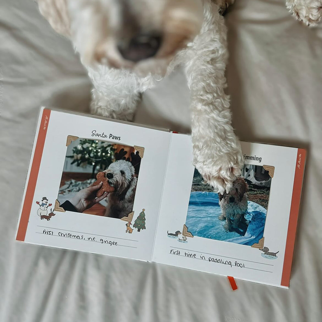 Bark Book - The Memory Album