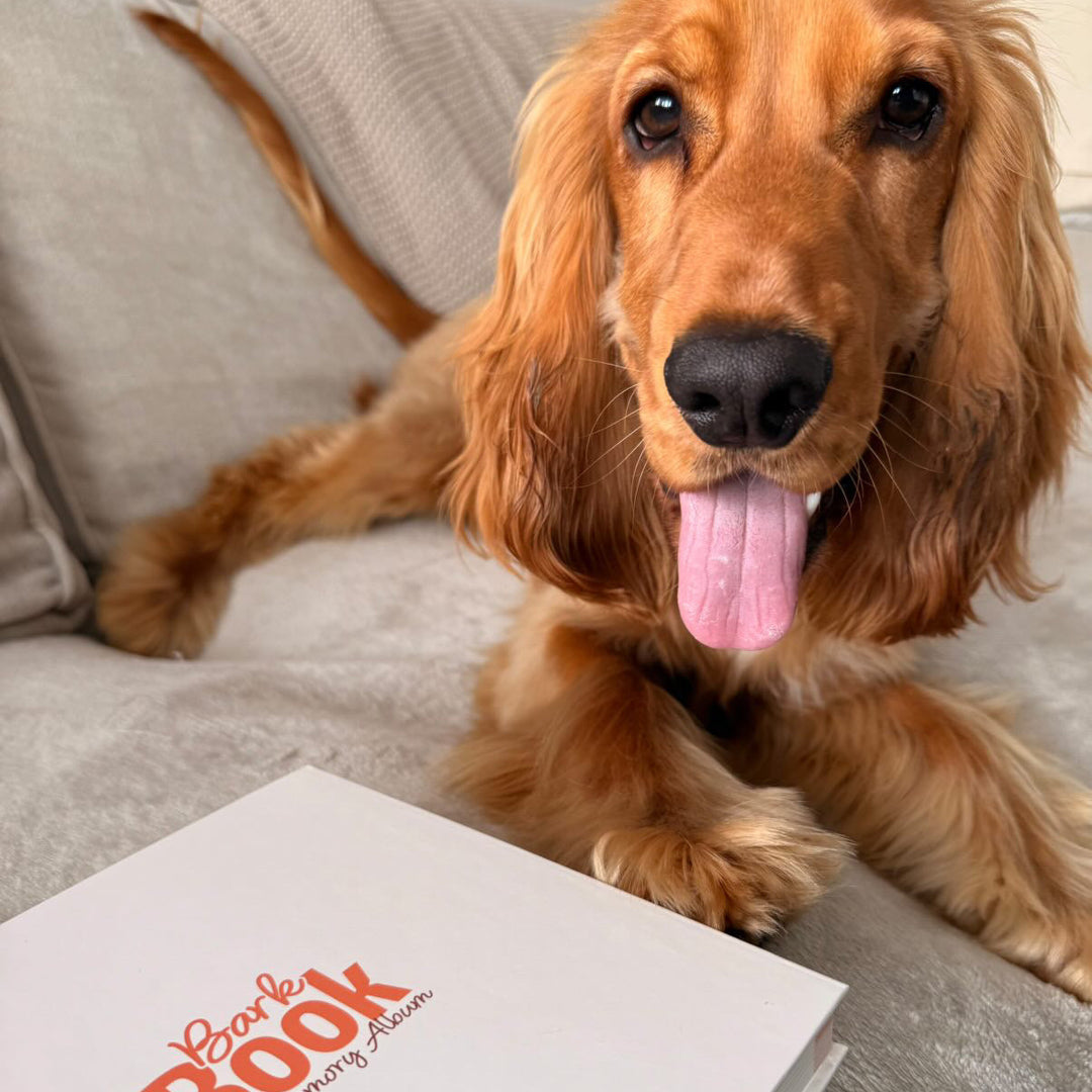 Bark Book - The Memory Album