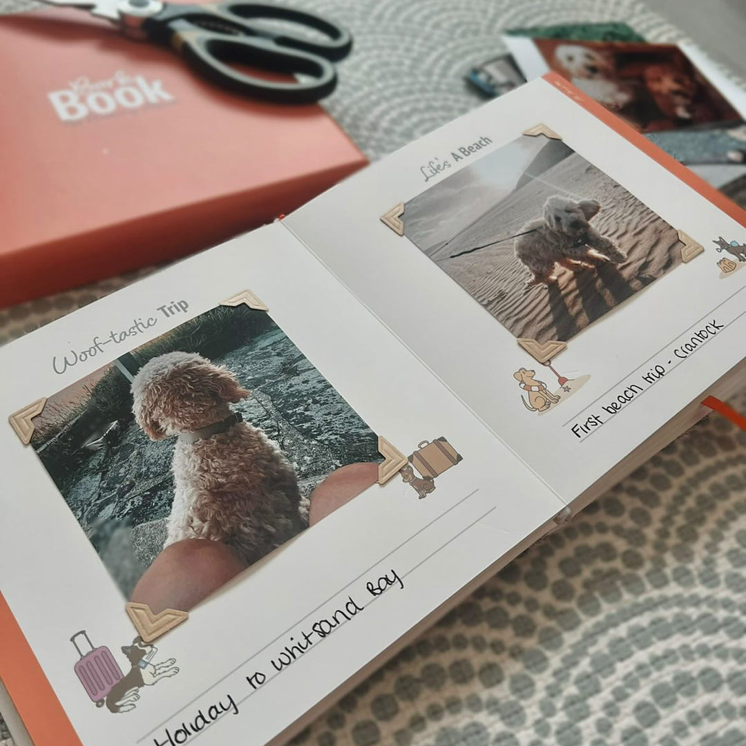 Bark Book - The Memory Album