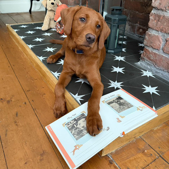 Bark Book - The Memory Album